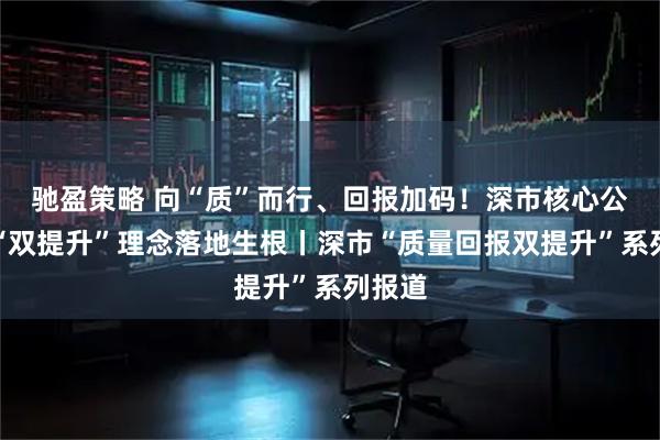 驰盈策略 向“质”而行、回报加码！深市核心公司让“双提升”理念落地生根丨深市“质量回报双提升”系列报道