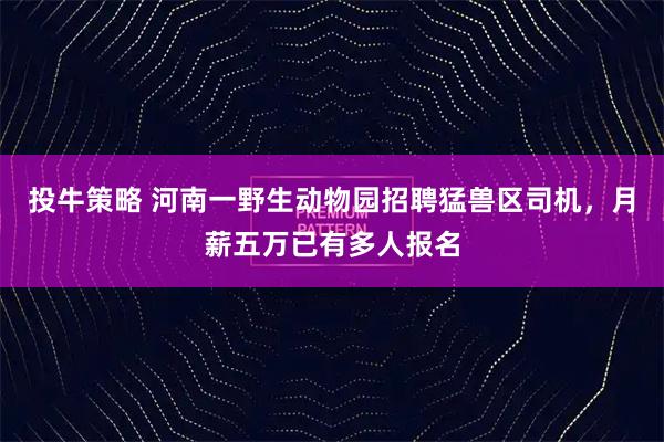 投牛策略 河南一野生动物园招聘猛兽区司机，月薪五万已有多人报名